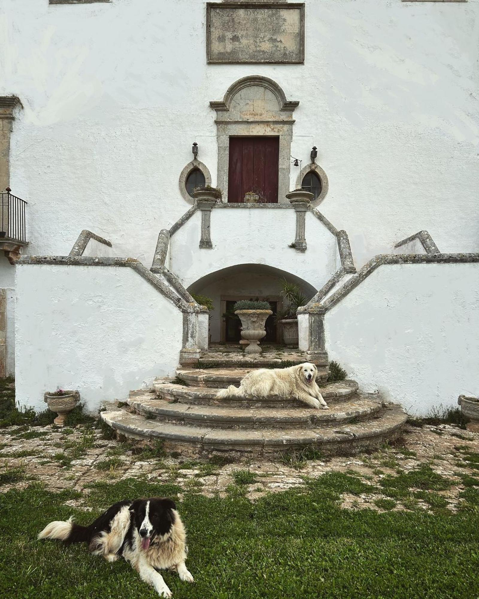 Masseria Murgia Albanese Ночи Экстерьер фото