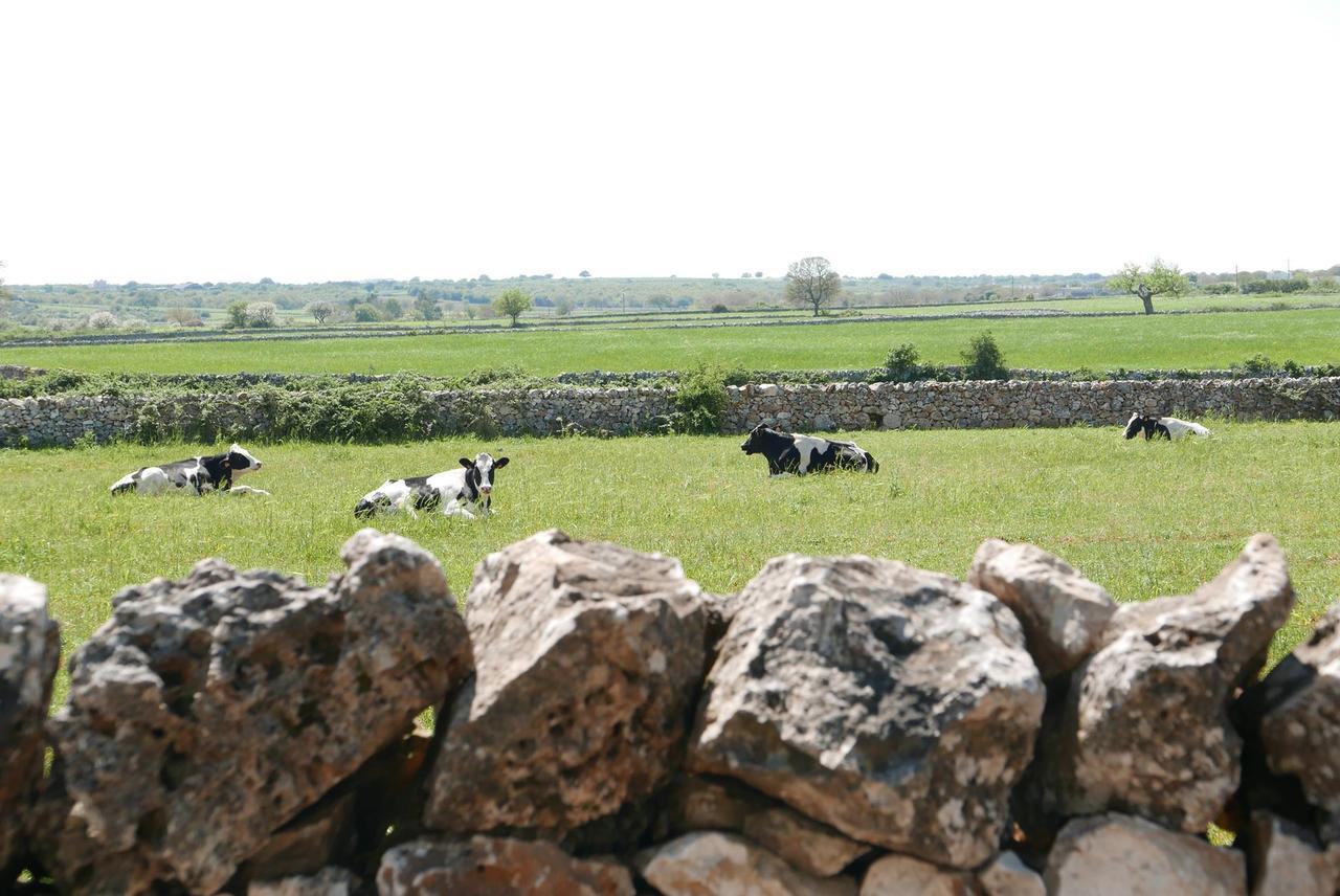 Masseria Murgia Albanese Ночи Экстерьер фото
