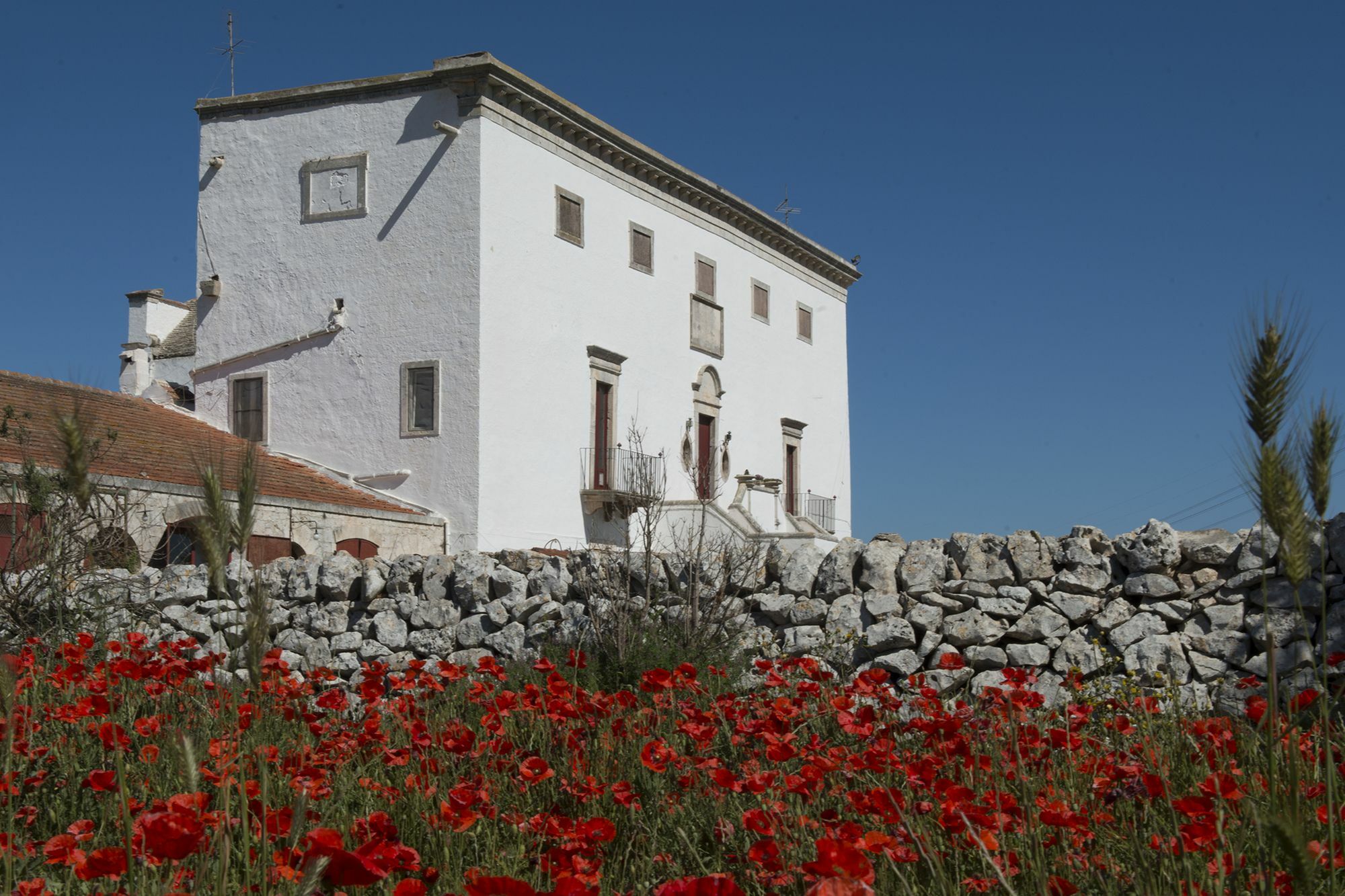 Masseria Murgia Albanese Ночи Экстерьер фото